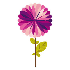 colorful stem with leaves and purple flower vector illustration