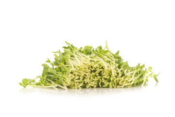 Pea Sprouts isolated on White Background