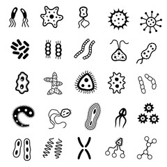 Set of bacteria and virus icons. Icons of harmful bacteria, fungus and other vermin. Vector illustration.