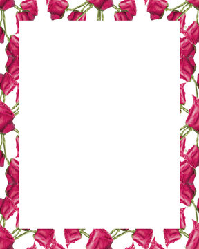 White Frame with Decorated Floral Borders