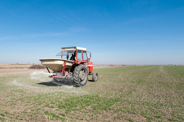 Naklejka premium Farmer in tractor fertilizing wheat field at spring with npk