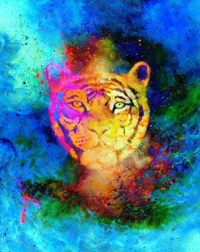 head of a young tiger on abstract space background with graphic structure effect.