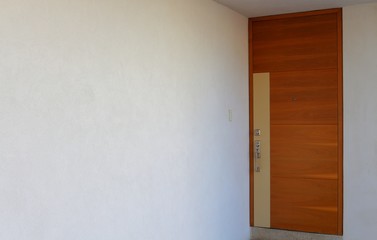 Fototapeta premium Clean and stylish front door.