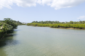 沖縄 金武町 億首川