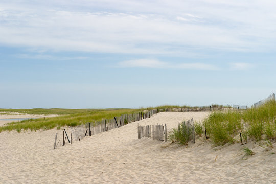 Cape Cod Sand Dunes