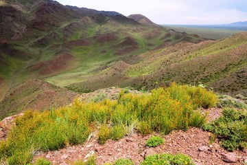 Fototapeta premium The steppes of Kazakhstan