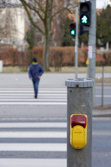 Przycisk sygnalizacji świetlnej na przejściu dla pieszych. - obrazy, fototapety, plakaty