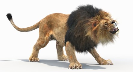 Angry Lion © ANDRANIK