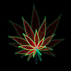 3 Shaded Red Cannabis Leaves 