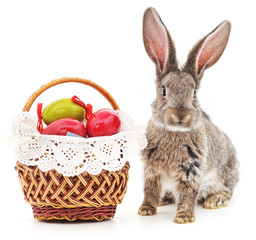 Easter Bunny with colored eggs.