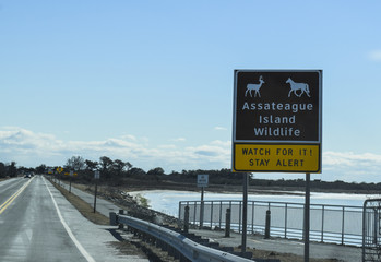 Assateague
