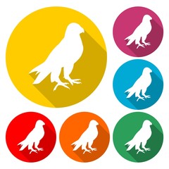 Falcon icon - Illustration