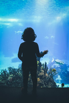little girl watching fishes in a Oceanarium. Lisbon in Portugal