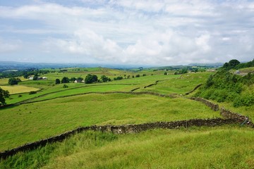 Fototapeta na wymiar Stone walls in fields in an English countryside landscape
