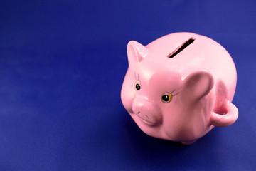 Piggy bank on a blue background