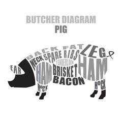 Butcher diagram of pork. Pig cuts - 139367459