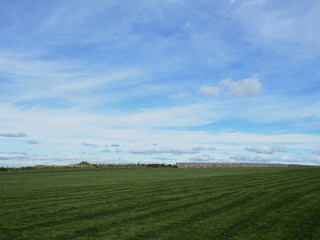 Obraz premium Freshly cut field in a park under blue cloudy sky..