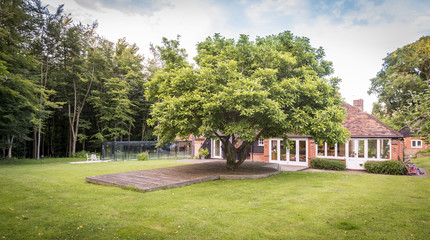 Lovely house with beautiful garden