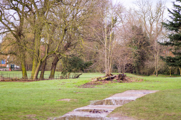 Obraz premium Breaking Dawn