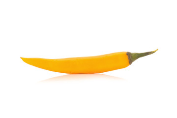 chili pepper yellow / orange isolated on a white background
