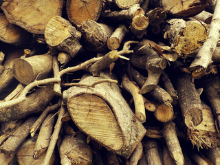 Texture of natural stacked logs - 139369497