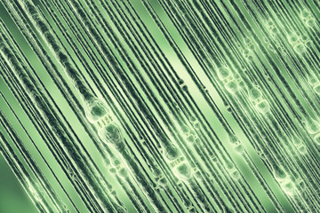 Synaptic transmission, human nervous system. 3d rendering