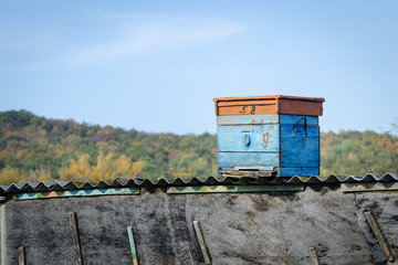 Fototapeta na wymiar Wooden Beehive On The Roof Of A Barn On A Background Of Blue Sky And The Forest.