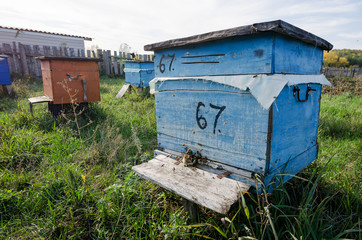 Apiary. Beehive With Bees At The Entrance.