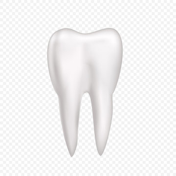 Tooth on transparent background