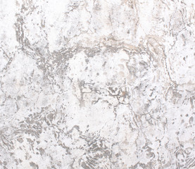 cement wall