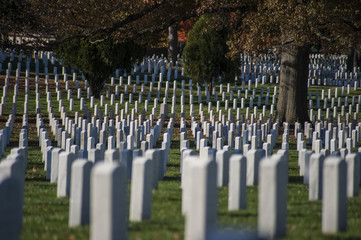 Arlington National Cemetery