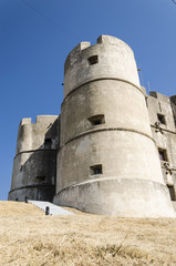 Fototapeta na wymiar View of the castle of Evoramonte , close to Evora, Alentejo, portugal.