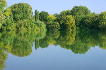 Forest reflection on the lake