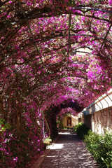 Monforte garden Valencia