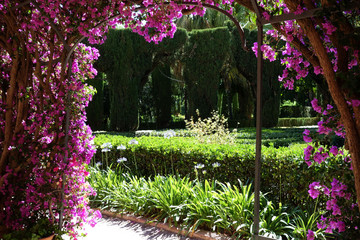 Monforte garden Valencia