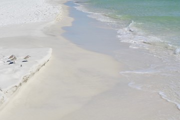Sandpipers on the shore