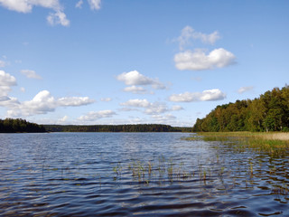 View of the lake in the sunny day