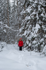 little girl in a red jacket in snowy forest