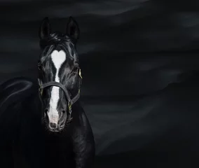 Gordijnen Portret van zwart paard met harttekens. Uniek en zeldzaam gekleurd. © Kseniya Abramova