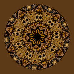 Sfondo cerchio mandala con foglie