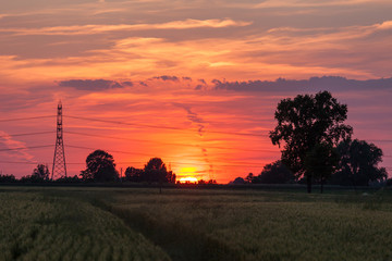 Fototapeta premium Industrial high voltage sunset