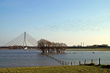 Niederrheinlandschaft mit Rheinhochwasser und der Niederrheinbrücke Wesel im Hintergrund