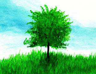 Green tree on grass in watercolor.