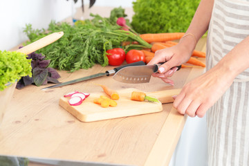 Fresh vegetables on the cutting board, salad in a glass dish. Concept of cooking