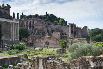 Fototapeta premium mont palatin vu depuis le forum romain, Rome, Italie