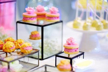 Beautiful desserts, sweets and candy table at wedding reception