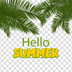 Obraz premium Hello summer green palm leaf transparent