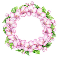 Spring Blossom Wreath. Cherry pink flowers. Blooming branch of fruit tree. Watercolor illustration