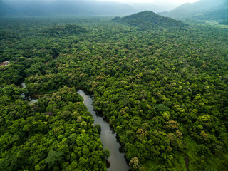 Aerial View of River in Rainforest, Latin America - obrazy, fototapety, plakaty