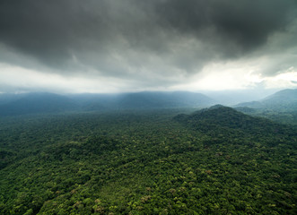 Fototapeta na wymiar Aerial View of River in Rainforest
